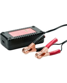 REBELCELL LAT. START -AKULLE. 14.6V3A. Main Image