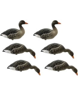 FINAL APPROACH FB 6KPL MAAL MERIHANHIKAA Main Image