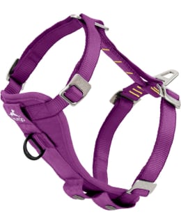 KURGO TRU-FIT L VIOLETTI VALJAS Main Image