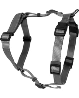 DOGMAN IRIS 10MM HARMAA H-VALJAS Main Image