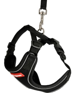 DOGMAN AIR MESH MUSTA S VALJAAT SET Main Image