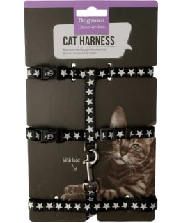 DOGMAN STAR MUSTA KISSAN VALJASSETTI Main Image