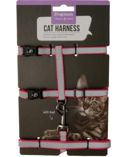 DOGMAN STRIPE PINKKI KISSAN VALJASSETTI Main Image