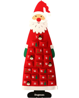 DOMAN ELF ADVENT CALENDAR Main Image