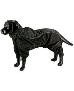 DOGMAN DOT MUSTA 30CM SADEHAALARI Main Image