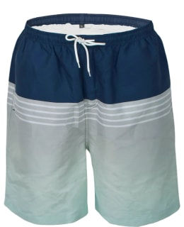 CT BEACH SHORTS M C160054 BLU S Main Image