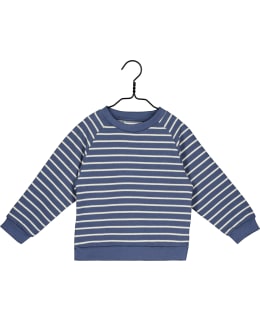 P&K 7910525-446-DBC-110/116 T.SWEATER Main Image