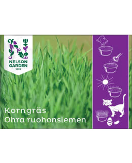 NELSON OHRARUOHO Main Image