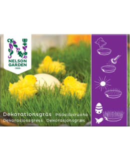 NELSON PÄÄSIÄISRUOHO Main Image