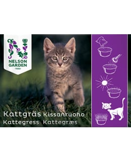 NELSON KISSANRUOHO Main Image