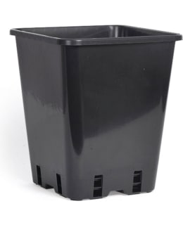 NELSON MUSTA 20CM MUOVIRUUKKU Main Image