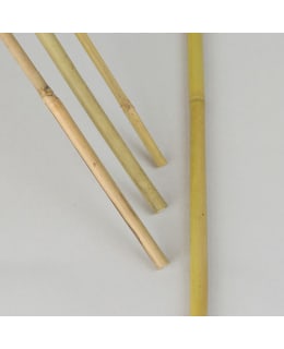 NELSON  BAMBUKEPPI 1,2M 5KPL Main Image