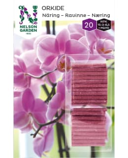 NELSON ORKIDEA 20KPL RAVINNEPUIKKO Main Image