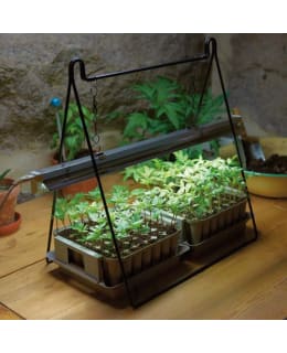 NELSON 5610 TELINE LOISTEP.VALAISIMELLE Main Image