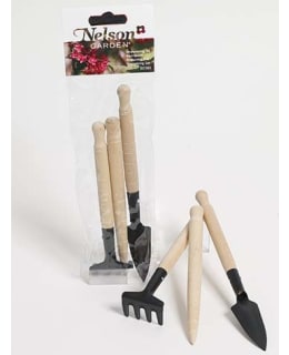 NELSON KOULINTASETTI Main Image