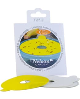 NELSON 6KPL LIIMA-ARKKI BAN.KÄRP.ANSALLE Main Image