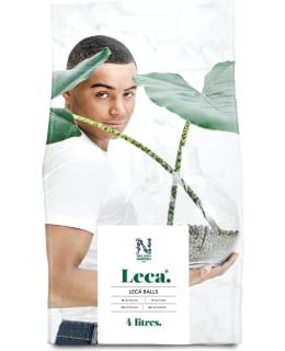 NELSON LECASORA 4L Main Image