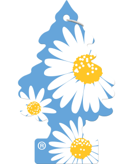 WUNDER-BAUM DAISY FLOWER Main Image