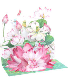 LP 3244523897000 3D POP UP KORTTI Main Image