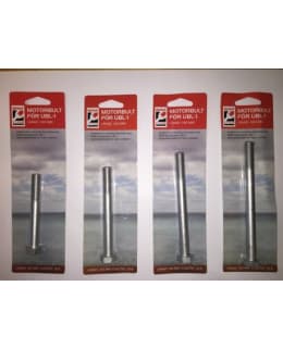 BEMA UBL-1 M6S 12.9 M12X1,25X100 DACROM Main Image