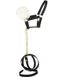 PANDURO NAHKARIIMU JA RIIMUNARU -SETTI Main Image