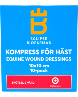 ECLIPSE 10X10CM 10PCS WOUND PAD Main Image