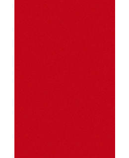 DUNISILK+ PL PUNAINEN 138X220CM LIINA Main Image