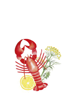 DUNI RAPU 12 KPL KAULURIT Main Image