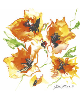 DUNISOFT RINTALA HURMA 40CM 12KPL LL Main Image