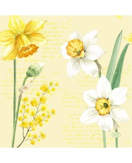 DUNI 33CM SPRING DAFFODIL LAUTLIINA Main Image