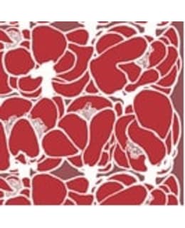 DUNISOFT VALLILA MAKEBA PUN 40CM LL Main Image