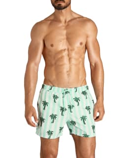 BB 2111-1039-72901-XL M.SHORTS SYLVEST Main Image