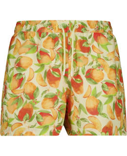 BB 10004095-P0993-SP1-XL M.SWIM SHORTS Main Image