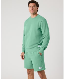 BB 10003850-GN282-XXL M.COLLEGEPAITA Main Image