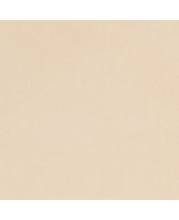 SD 30X25CM LUONNONVÄRINEN NAHKAPALA Main Image