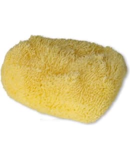 LUONNONSIENI 6-10 CM Main Image