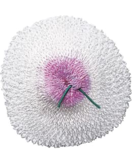 PRIMUS MANTLE Main Image