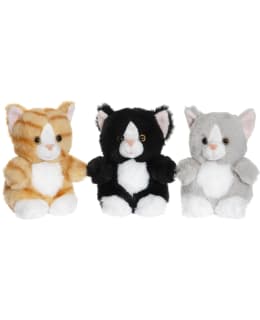 TK TEDDY CAT 12CM KISSAPEHMO Main Image