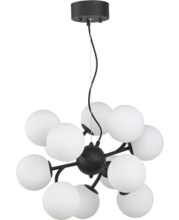 ORIVA COMO MUSTA/OP KATTOVALAISIN Main Image