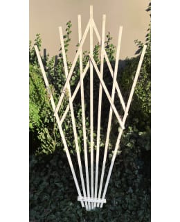 TRELLIS NATURE VIUHKA KÖYNNÖSKEHIKKO Main Image