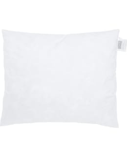 SV 50X60CM HÖYHENTÄYTE SISÄTYYNY Main Image