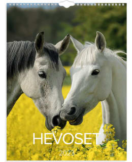 Burde Hevoset 2023 seinäkalenteri Main Image
