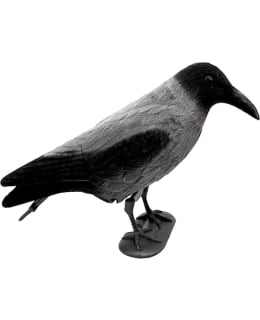 5ETTA VARIS - HOUKUTUSKUVA Main Image