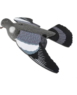 5ETTA SIIVILLÄ SEPELKYYHKY HOUKUTUSKUVA Main Image