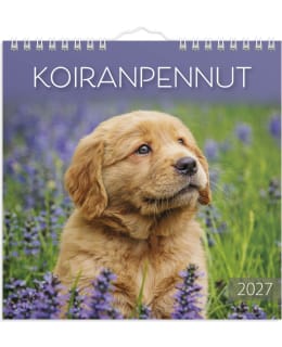 BURDE KOIRANPENNUT SEINÄKALENTERI 2027 Main Image