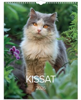 BURDE KISSAT 2026 SEINÄKALENTERI Main Image