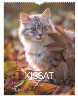 BURDE KISSAT SEINÄKALENTERI 2027 Main Image