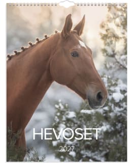 BURDE HEVOSET SEINÄKALENTERI 2027 Main Image