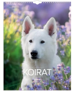 BURDE KOIRAT 2025 SEINÄKALENTERI Main Image
