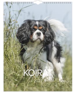 BURDE KOIRAT SEINÄKALENTERI 2027 Main Image